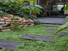 Load image into Gallery viewer, Embered - Weathered Oak