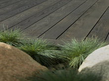 Load image into Gallery viewer, Burnt Cedar - Enhanced Grain