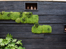 Load image into Gallery viewer, Embered - Weathered Oak