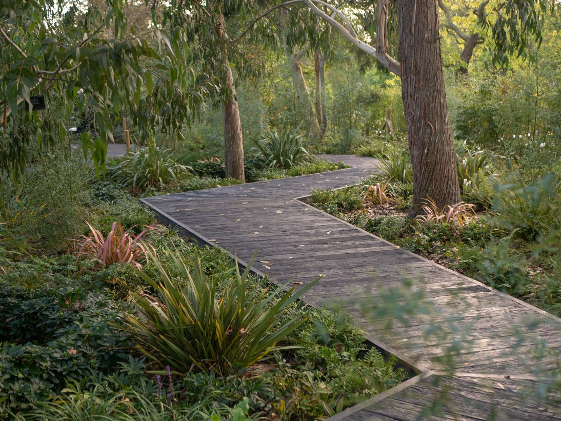 Embered - Weathered Oak - Composite Decking Specialist